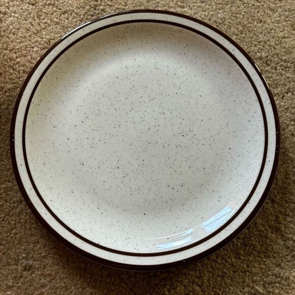Jackson Custom China Restaurant Ware 9” Plate Brown Stripes - Picture 1 of 6